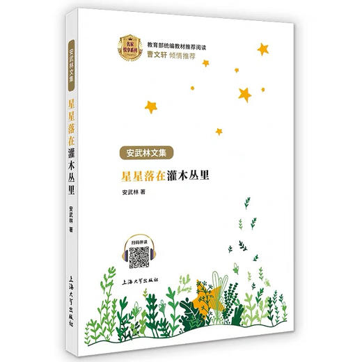 安武林：星星落在灌木丛里 商品图2