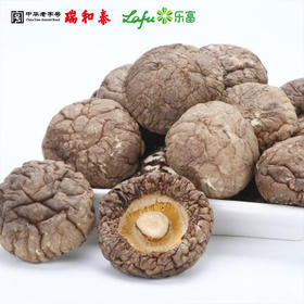散称250g 瑞和泰散特级金钱菇（2-2.5）250g