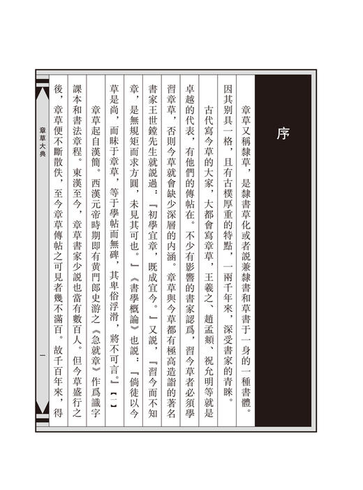 官方正版 章草大典 全2册 章草书法字典工具书 检字表书籍 笔画索引和汉语拼音索引选自历代章草字帖碑帖精选章草书法篆刻的书籍——河南美术出版社 商品图11