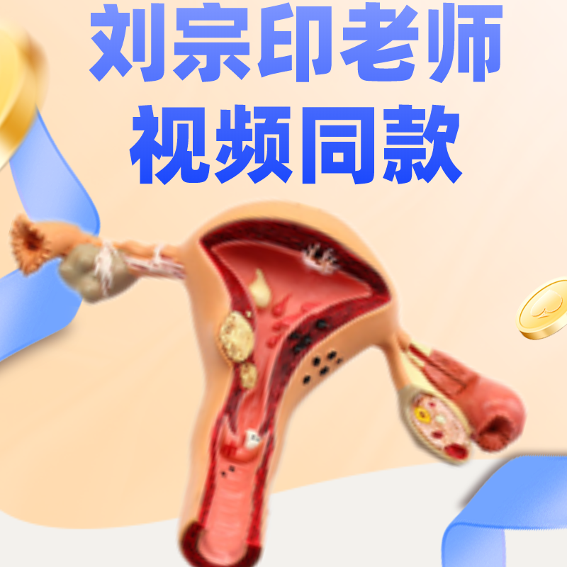 刘宗印老师视频同款【医教模型】ENOVO颐诺人体 女性子宫卵巢阴道疾病模型  生殖科妇科医用医患模型