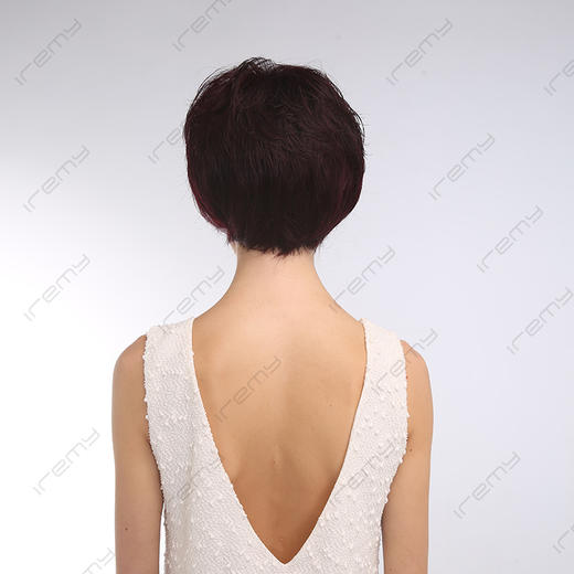 RPH-S8109HQ 商品图3