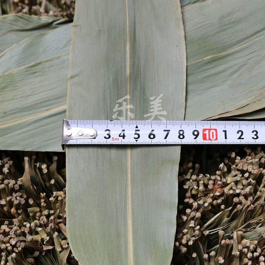 端午节野生粽子叶带绳（大概22-24片） 商品图1