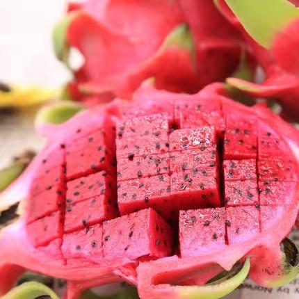红心火龙果 500g 商品图1