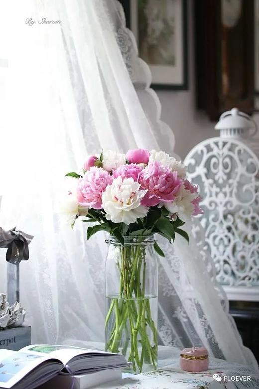 【量大从优】成都重瓣芍药  粉色 1捆（5扎） 商品图1