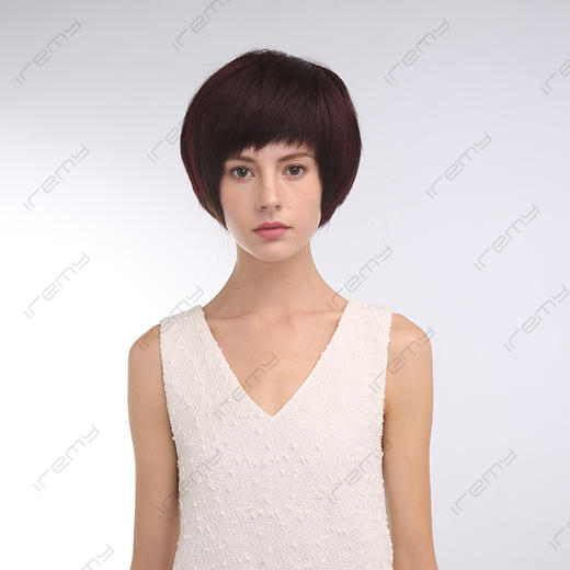 RPH-S8113HQ 商品图0