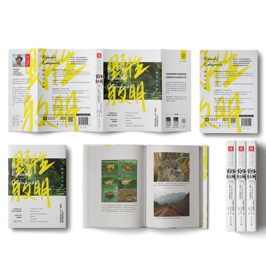 野性与文明：一位进化遗传学家在刚果（金）丛林的新发现 商品图1