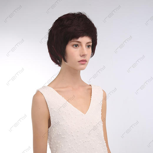 RPH-S8109HQ 商品图1