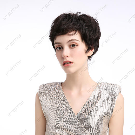 RPH-S20011HQ 商品图2