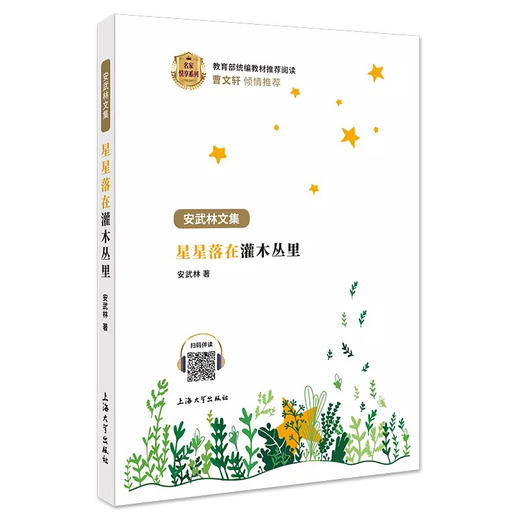 安武林：星星落在灌木丛里 商品图1