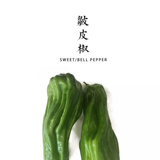 合作 | 皱皮青椒（几乎不辣） 商品图0