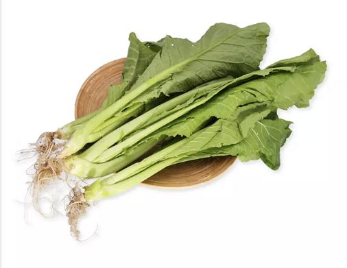 南径带头春菜苗约7两份