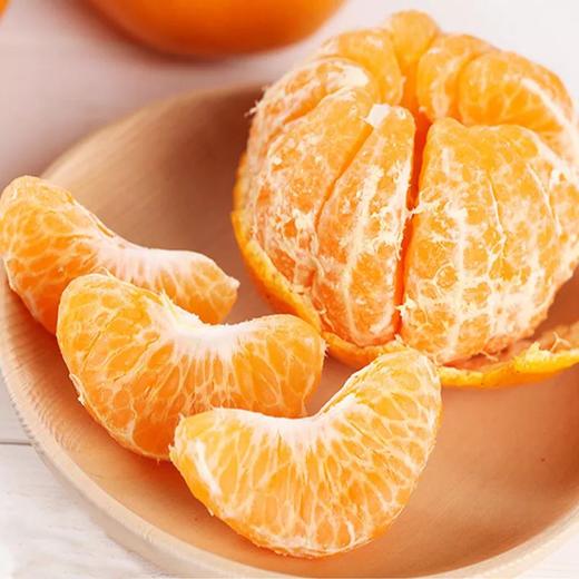 耙耙柑 丑桔 商品图0