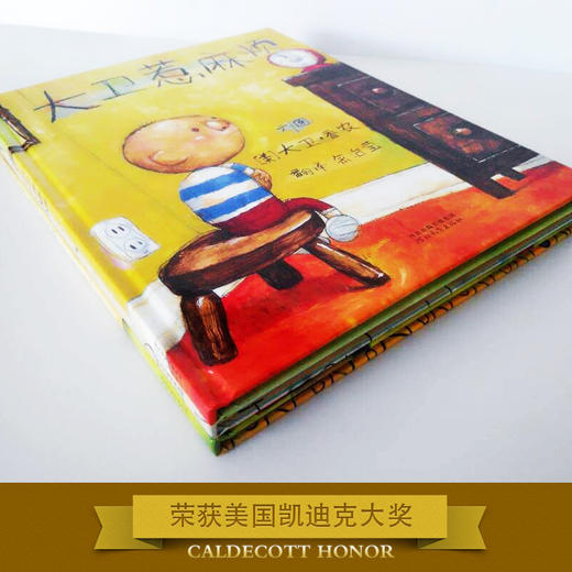 【正版】大卫不可以绘本系列全套3册（大卫不可以+大卫去上学+大卫惹麻烦） 商品图2