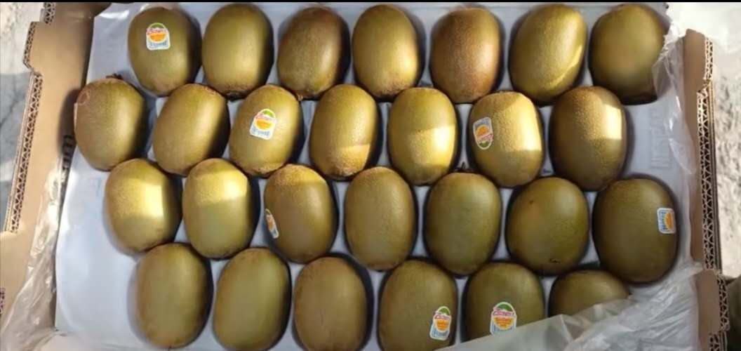 新西兰 佳沛 金果【 整件】大件