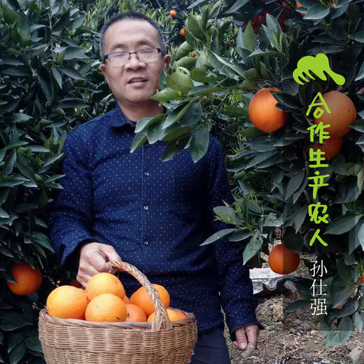 生态脐橙（九月红，酸甜） | 合作生产 *Eco-orange | Coproduction 商品图1