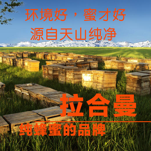 拉合曼天然金格巢蜜 天山原生态蜂蜜 500g盒装 商品图3