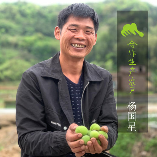 生态青梅| 合作生产 * Eco-friendly Rice Cake | Partner Production 商品图1