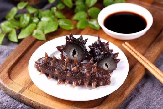 严选|渤海会·将军石底播正宗即食辽参|有机认证天然深海牧场绿色有机