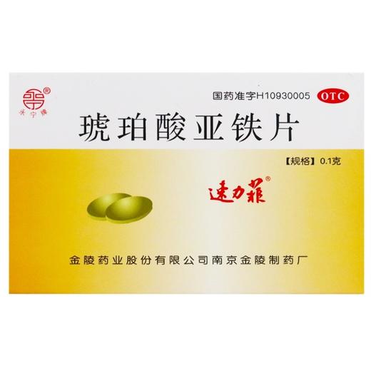 永宁牌,琥珀酸亚铁片【0.1g*24片】 商品图0