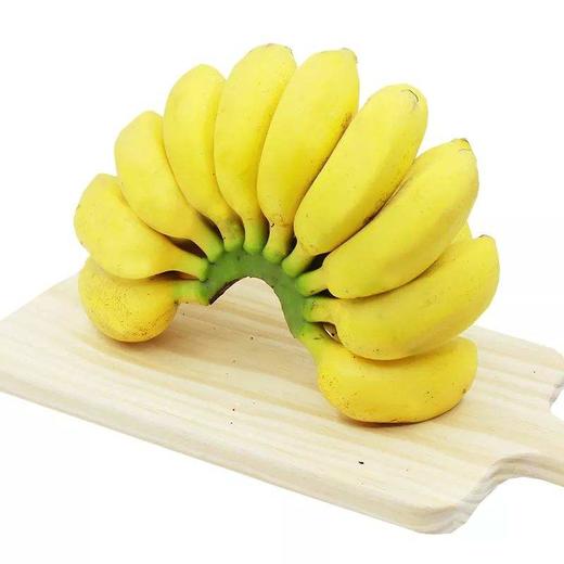 小米蕉进口米蕉新鲜香蕉