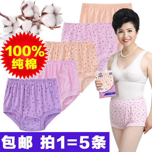 CLX-034纯棉全棉大码三角高腰内裤 商品图0