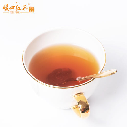 620暖心红茶 • 蜜香250克 商品图3