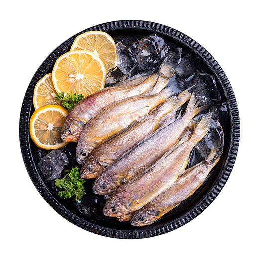 【顺丰空运】东海小黄鱼 980g 家庭分享装 味道鲜美 肉质细嫩 可油炸 可清蒸 黄花鱼 商品图0