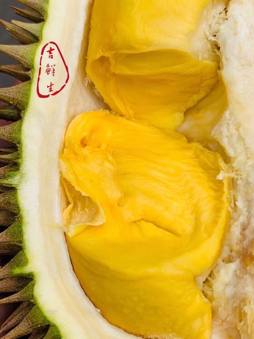 #强货上新#液氮·马来西亚D197猫山王，空运到货，浓郁美味 商品图0