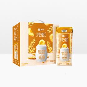 纯甄黄桃酸奶 件/10盒