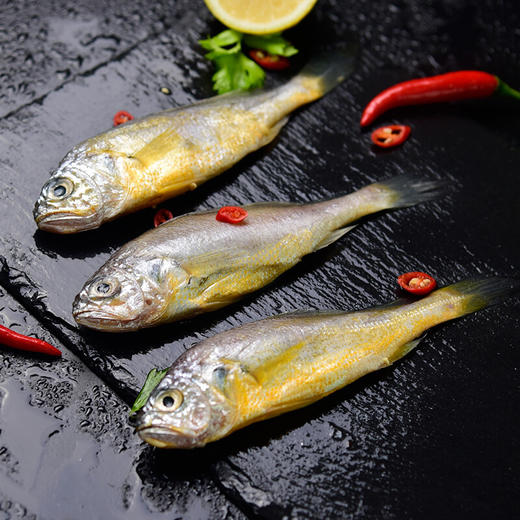 【顺丰空运】东海小黄鱼 980g 家庭分享装 味道鲜美 肉质细嫩 可油炸 可清蒸 黄花鱼 商品图3