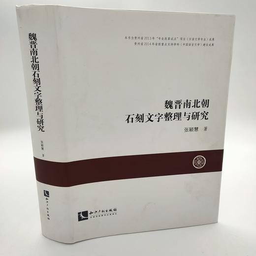 魏晋南北朝石刻文字整理与研究 商品图0