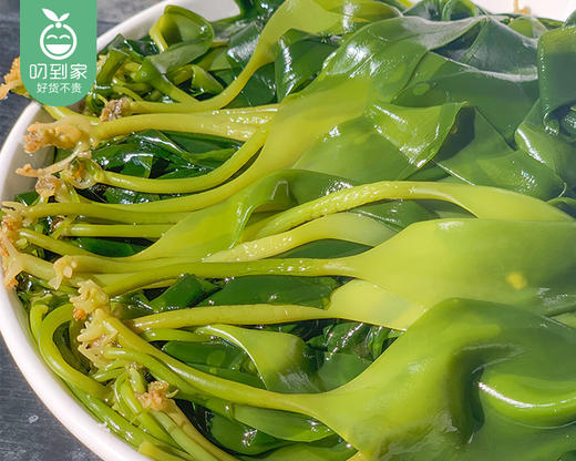 霞浦海带嫩苗*2包（约500g/包 盐渍半干）生产日期: 11月 商品图3