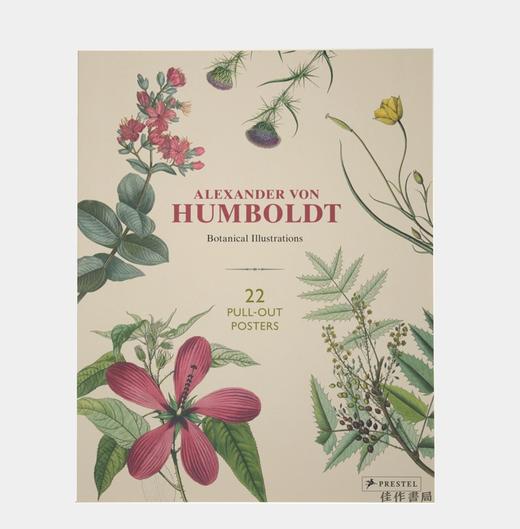 Alexander von Humboldt Botanical Illustrations: 22 Pull-Out Posters/冯洪堡的植物插图/22张海报 商品图0