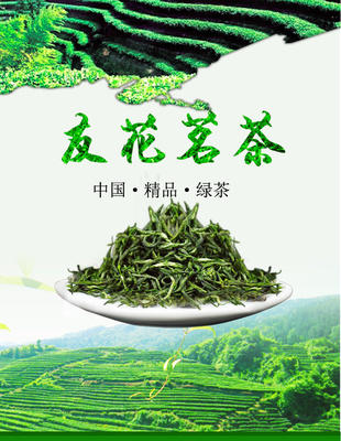 友花绿茶兰香茶袋装100g 商品图1