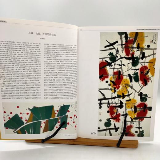 艺苑掇英 商品图1