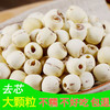 （洪湖）鄂莲洪湖莲子磨皮白莲去芯莲500g 商品缩略图2