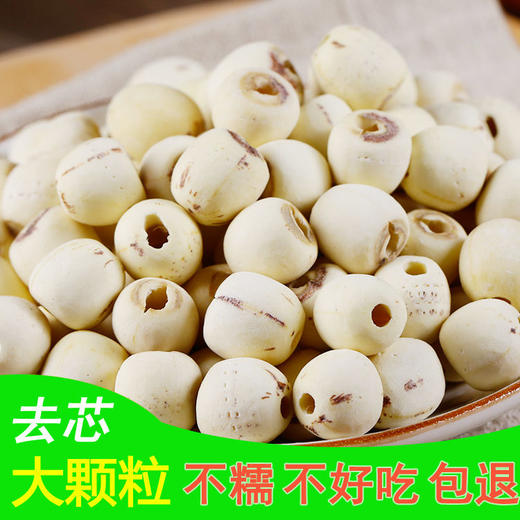 （洪湖）鄂莲洪湖莲子磨皮白莲去芯莲500g 商品图2