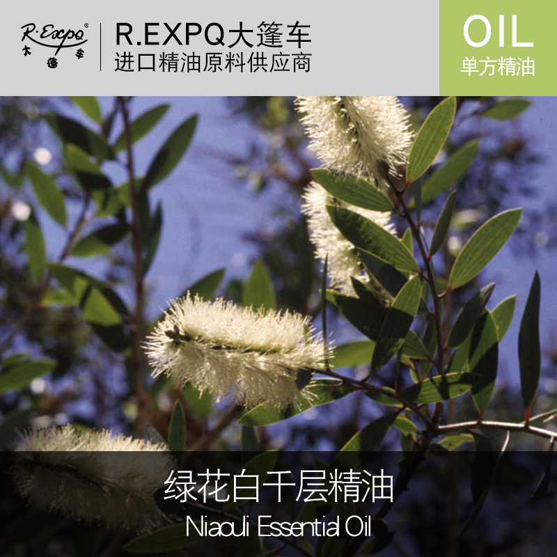 绿花白千层精油niaouli Essential Oil 进口单方精油原料批发