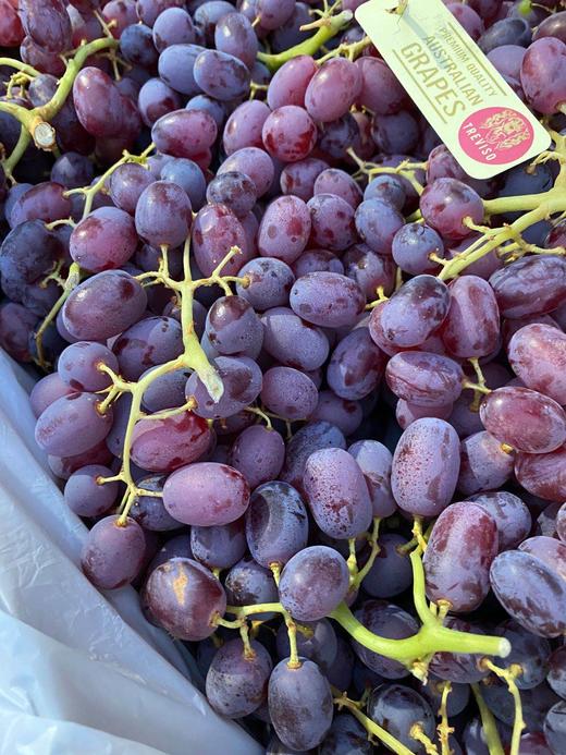 【澳洲无籽露】2斤/5斤,细嫩多汁,来自澳洲不可多得的美味