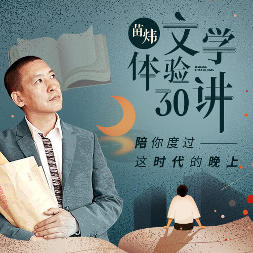 苗炜·文学体验30讲 商品图0