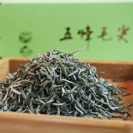 【清倉處理2020綠茶】五峰毛尖明前早春貢芽小罐芽茶90g