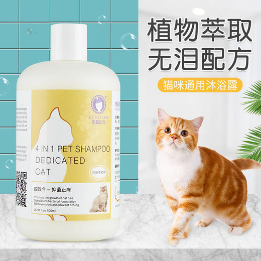 猫咪沐浴露预防猫藓杀螨除菌除蚤英短专用驱虫洗澡猫用洗浴用品