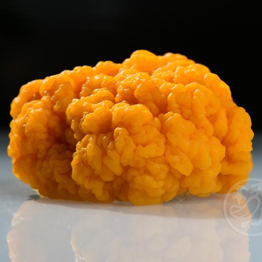 【新鲜金耳】顺丰空运到家 直接炖煮 30分钟出胶 “菌中黄金”  来自高原深山的美味 商品图7