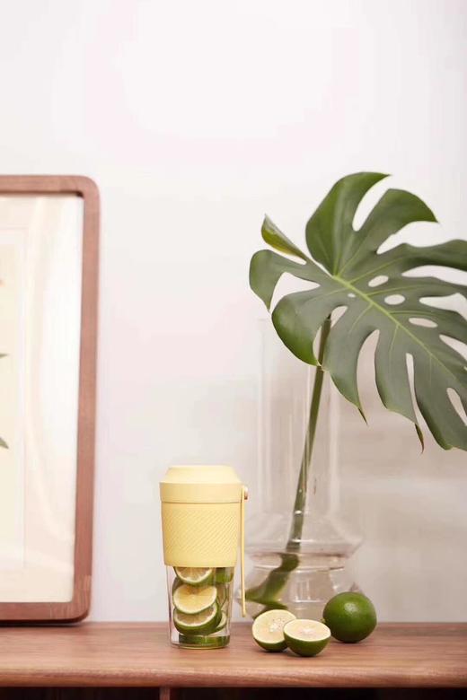 all-joint 便携榨汁机，宁波发货 商品图1