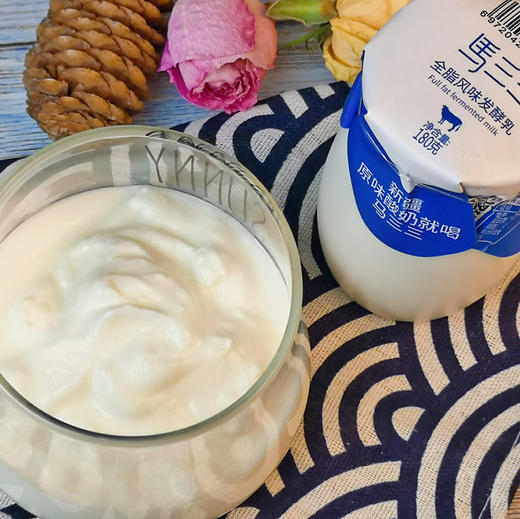 新疆马三三零添加剂酸奶 180g*12瓶 商品图6