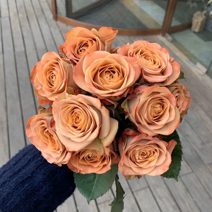 9元起荷兰进口特色玫瑰-卡布奇诺(5枝),江浙沪皖顺丰包邮! - 花钰