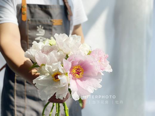 【疯了的油画牡丹】10支/份 第二份减10元 商品图3