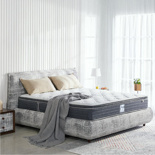 Sealy丝涟床垫 活力加 经典2.0 商品图0