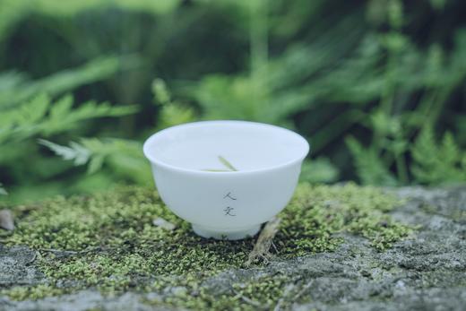 【艺旅定制】出行必备旅行茶具套装 商品图4