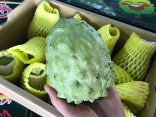 【台‎湾凤​梨​释迦】100%天‎然‎健康​营养‌，每​一‌口‎都‎让​人感​到很​甜‎蜜，软糯爽‎滑，皮‎薄肉厚‌，口感‌好‌、甜度高‌，如初​恋‌般的感觉~ 商品图4